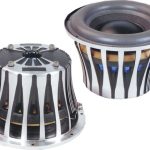 Altavoces 10"